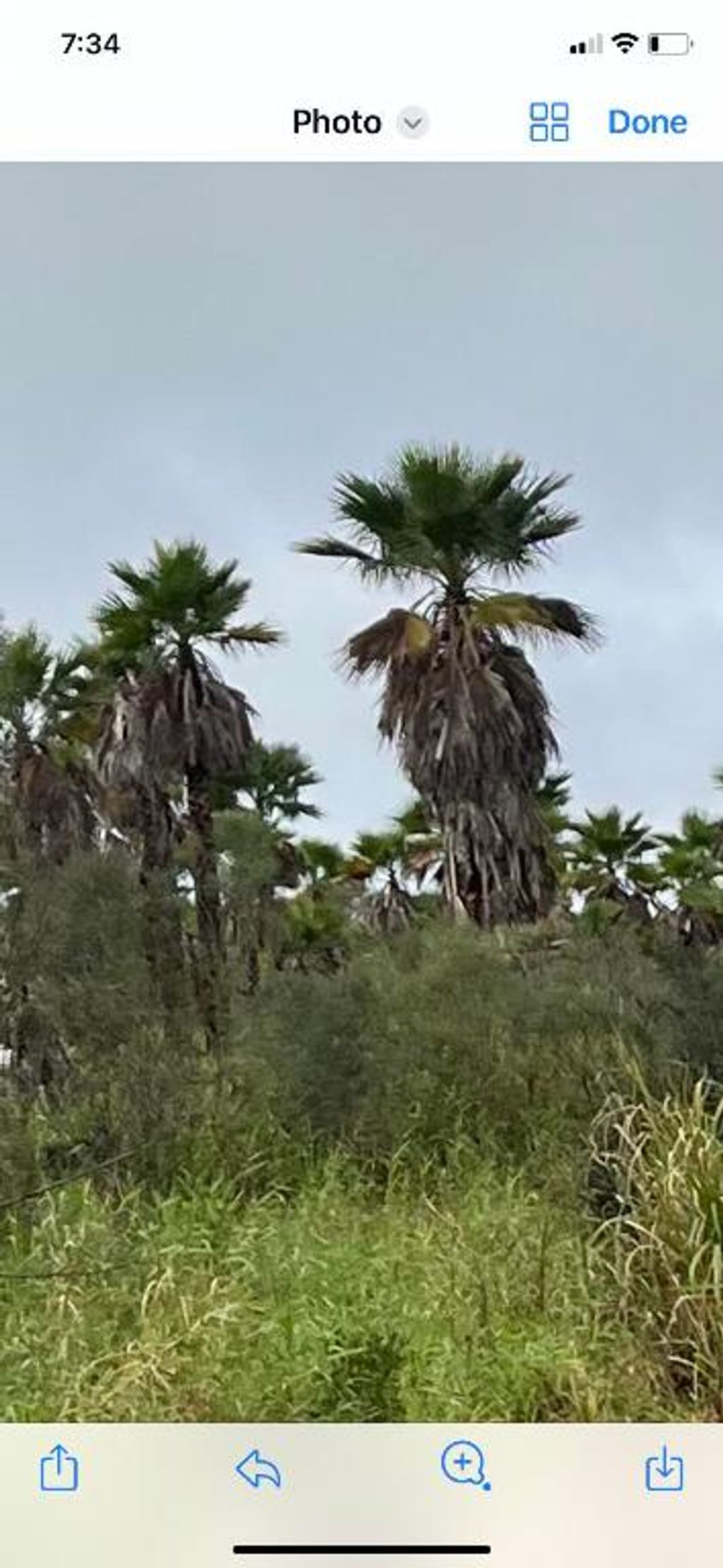 Photo of 1425 S Header Canal Road, Fort Pierce, FL 34945 (MLS # R11062505)