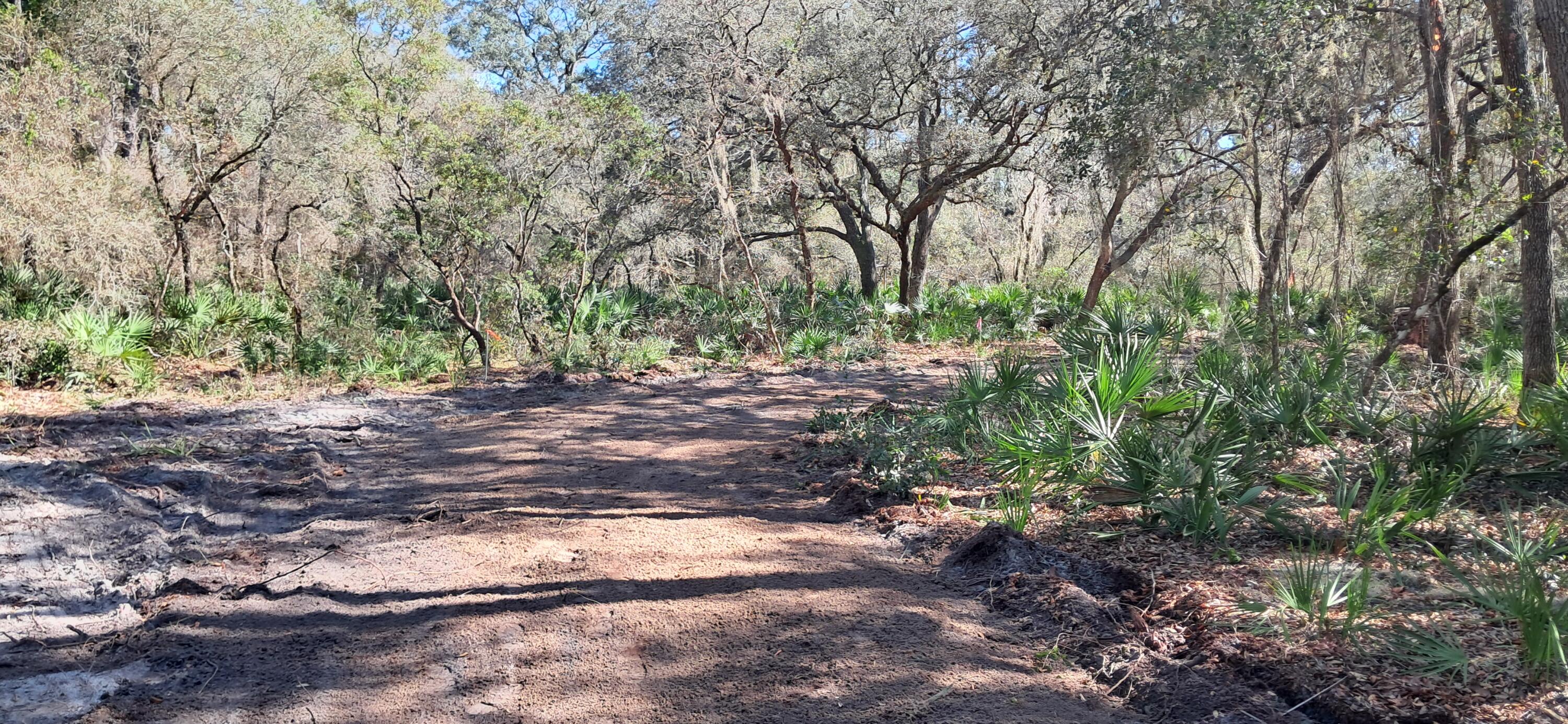 PARADISE LAKES SUB - Land