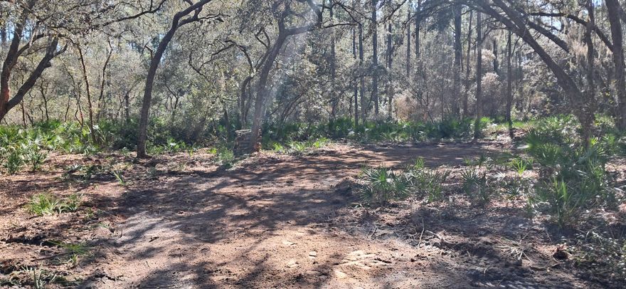 FINANCING AVAILABLE! Country living at its finest! Come see this beautiful 0.23-acre cleared lot located in the desirable Georgetown area. Perfect for building your dream home or bringing a manufactured home. Residents enjoy access to the St. Johns River Rod & Reel Club, complete with a boat ramp, fishing pier, and access to Lake George. Spend your days boating and fishing on the river and lake, or swimming in the crystal-clear waters of Salt Springs and Silver Glen Springs. Don't miss this opportunity to own a slice of Florida paradise! Also available is the adjacent lot 120 Gardenia making it possible to own 0.46 acres. Buyer to verify all property details including zoning, utilities, land use, and building requirements. All information deemed reliable but not guaranteed.