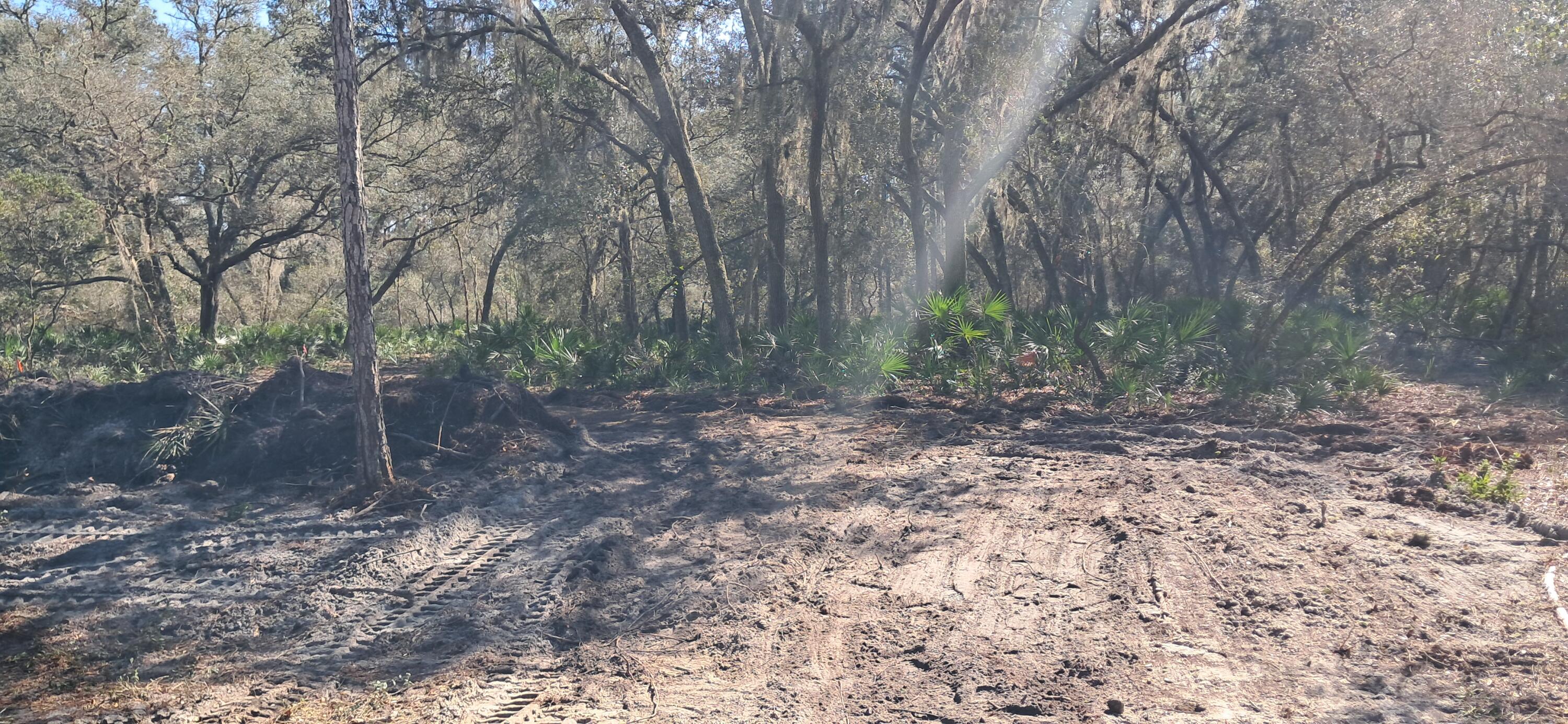 PARADISE LAKES SUB - Land