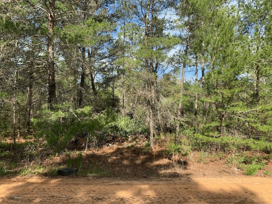 Mobile Homes and RVs permitted.Owner finance with only $1,500 down