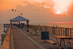 SEMINOLE GARDENS AT WOODBINE - Residential