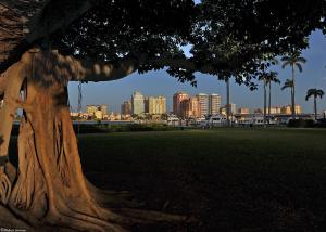 SEMINOLE GARDENS AT WOODBINE - Residential