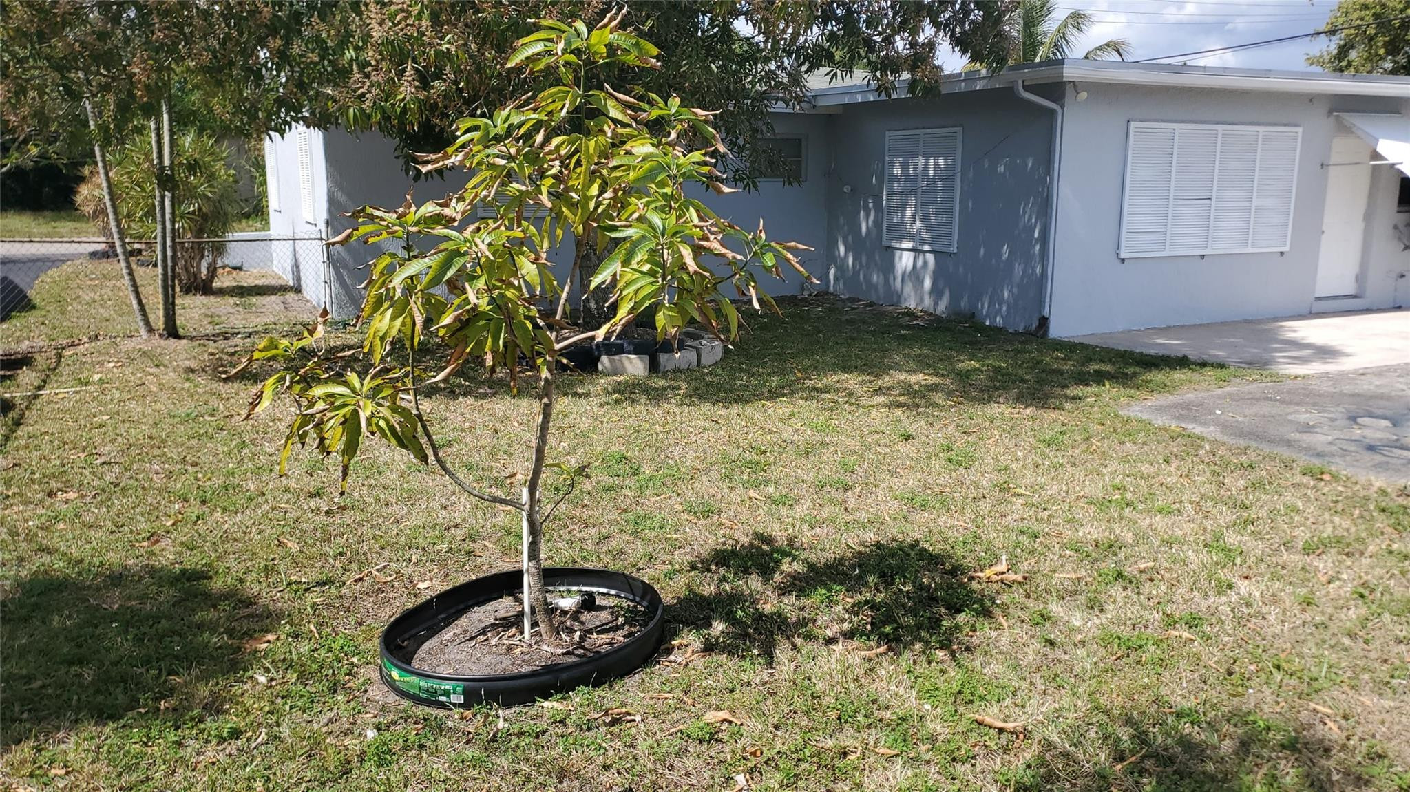 Boulevard Heights Sec 6 4 - Residential