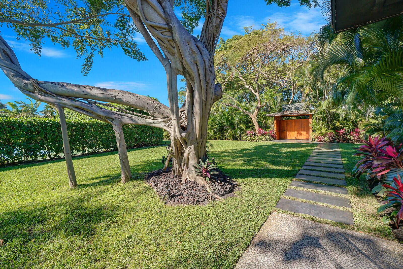 Essex Lane - Residential