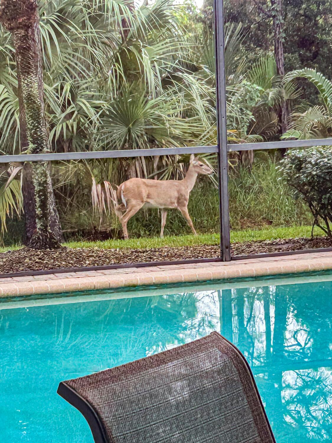 SUMMERFIELD - Residential