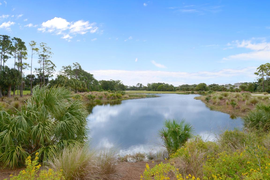 OLD PALM 3 - Residential