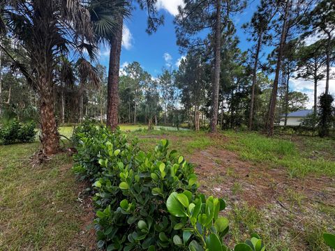 A home in The Acreage