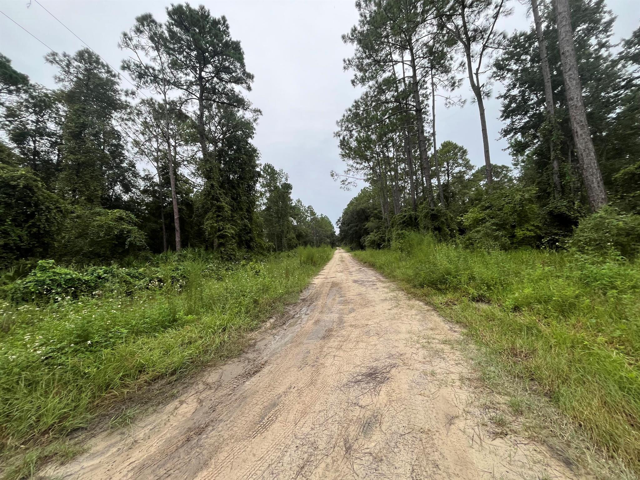 0 Hickory Nut Trail
