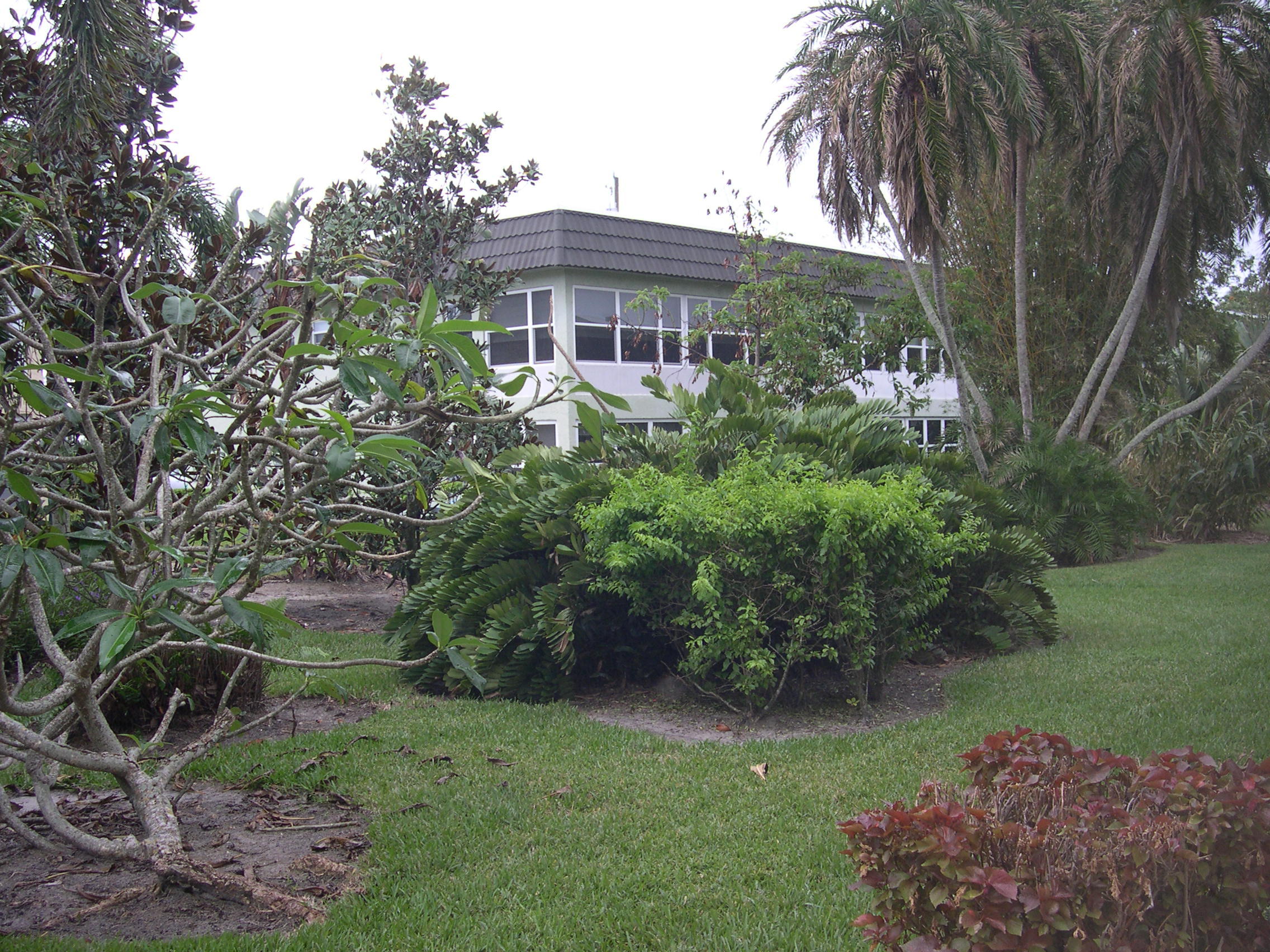 COLONNADES CONDOMINIUM  NO 8 - Residential