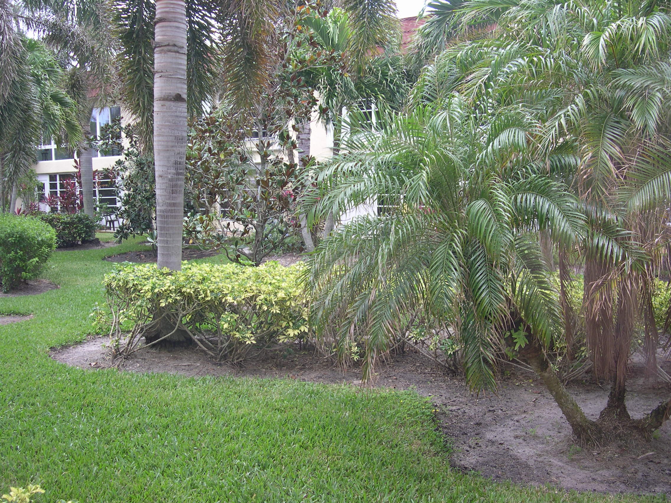 COLONNADES CONDOMINIUM  NO 8 - Residential