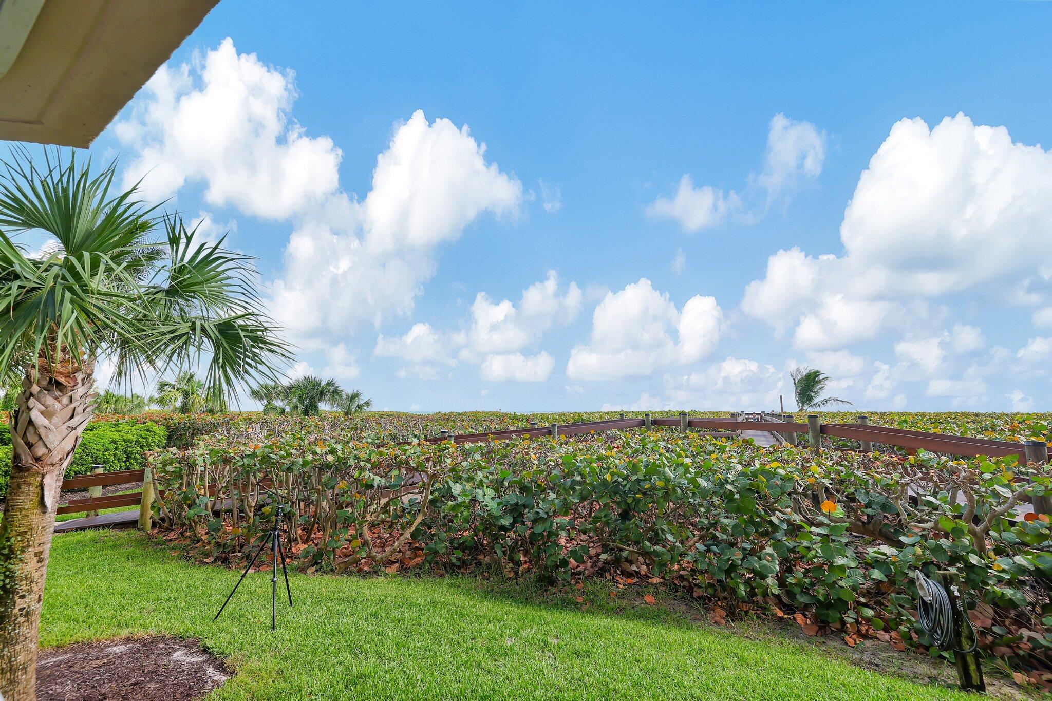 HIBISCUS BY THE SEA CONDOMINIUM - Residential Lease