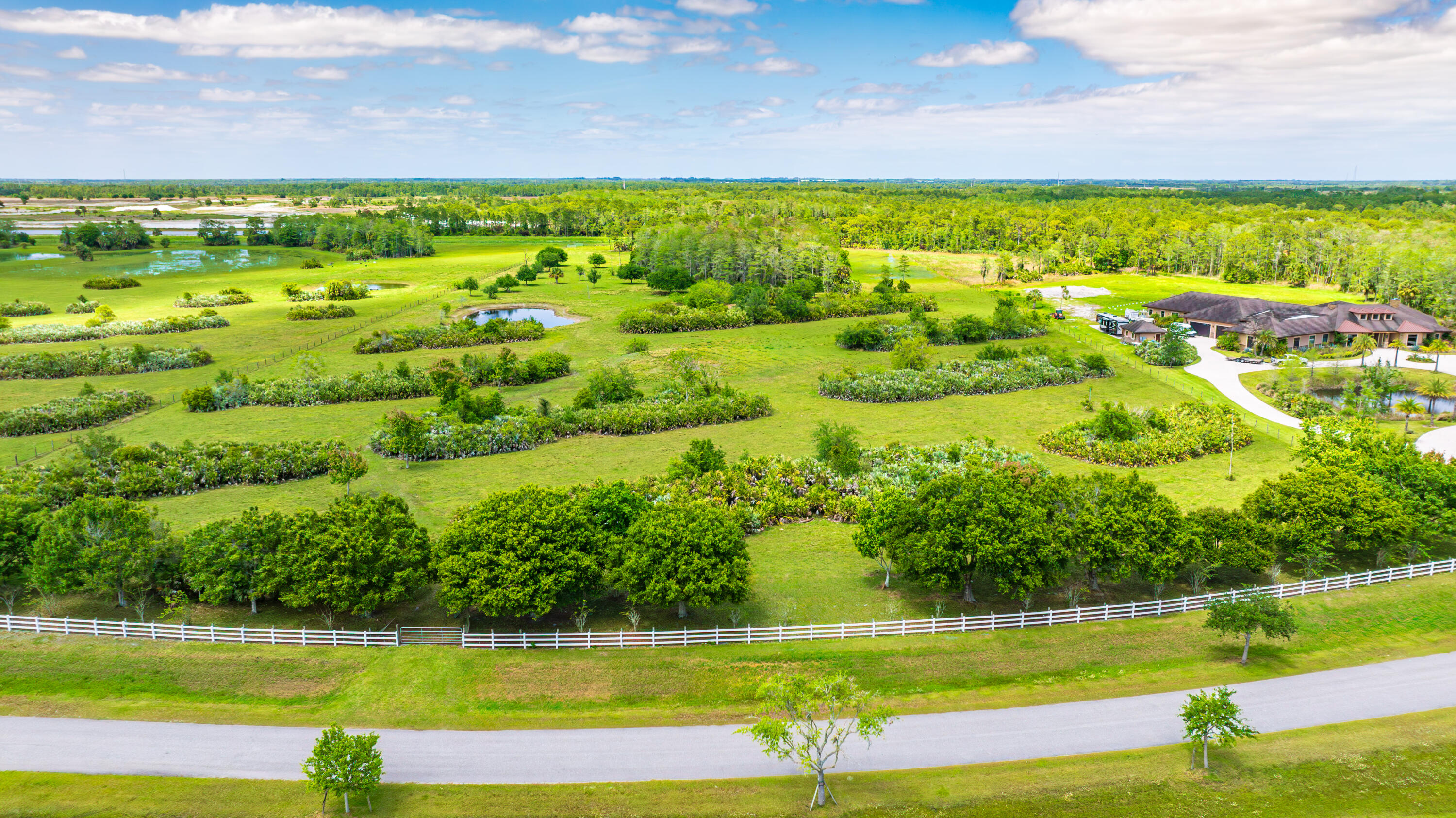 TRAILSIDE - Land