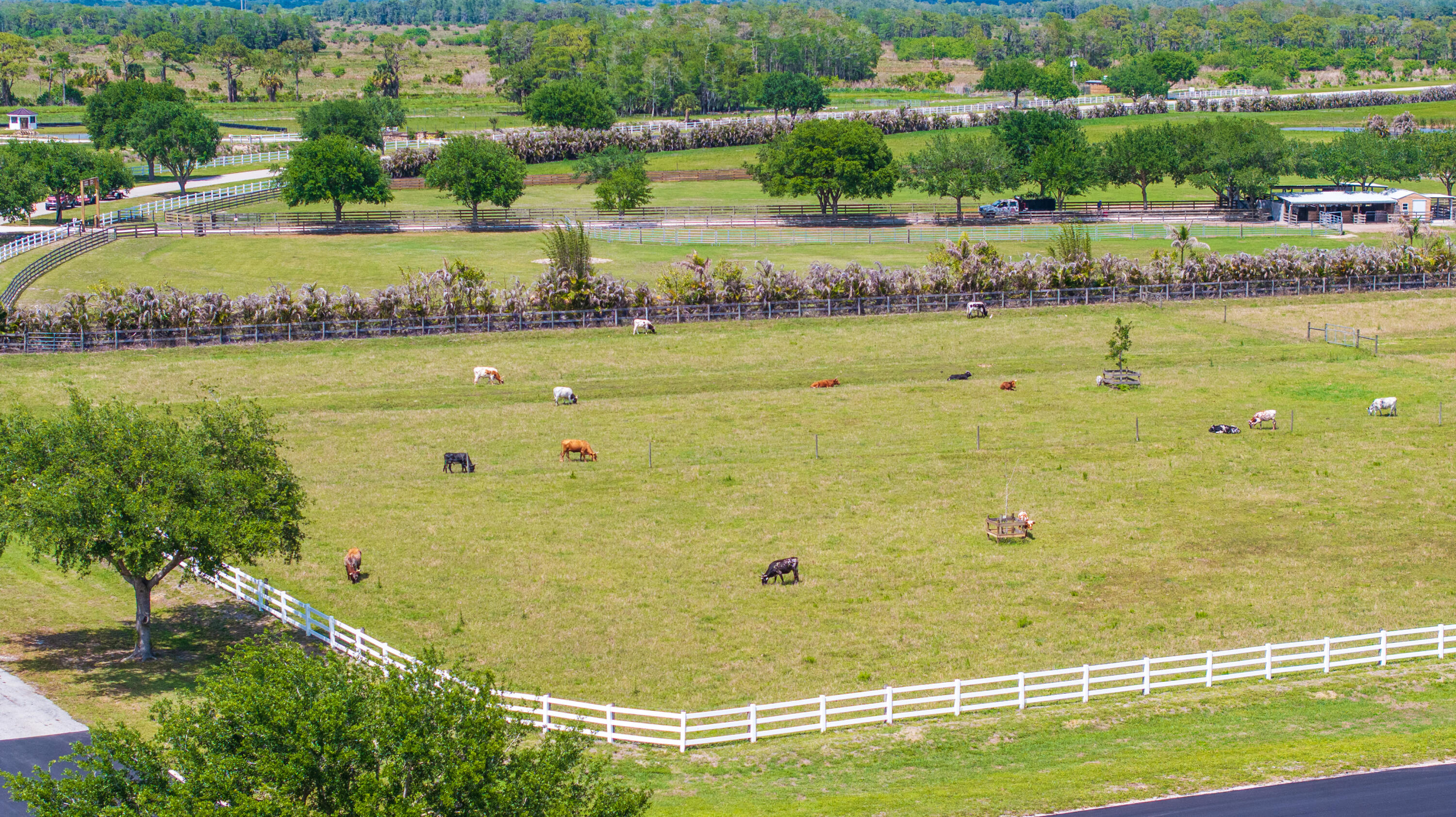TRAILSIDE - Land