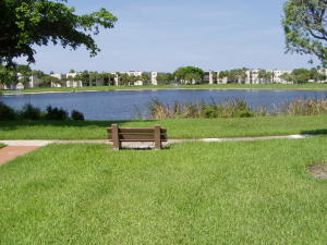 Bottlebrush - Residential