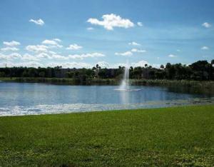 Bottlebrush - Residential