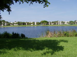 Bottlebrush - Residential