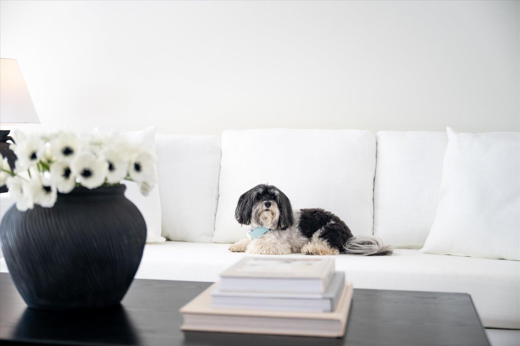 PADDOCK PARK 2 OF WELLING - Residential