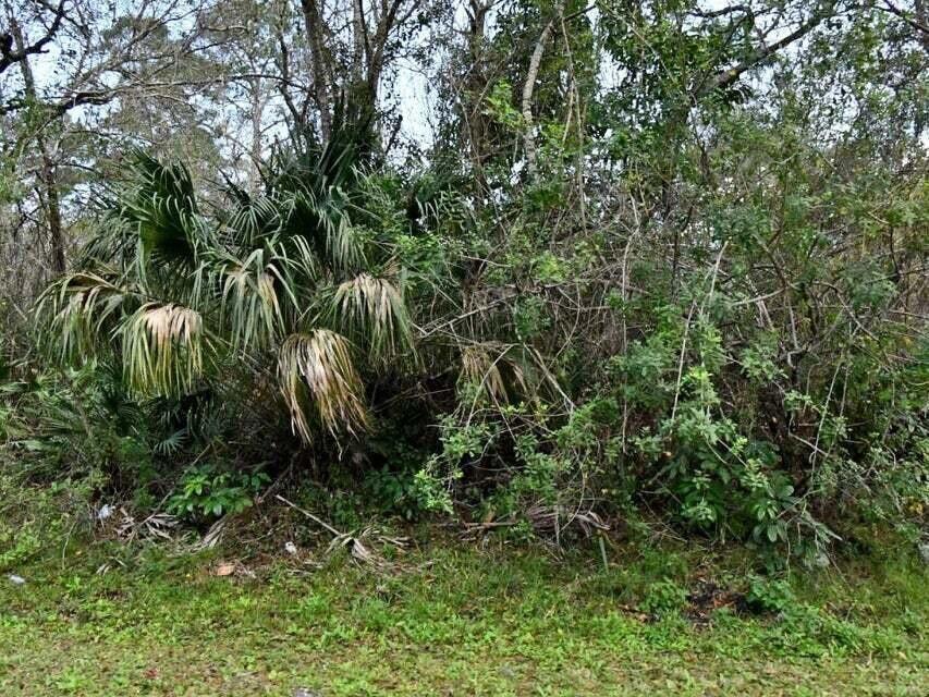 vacant land