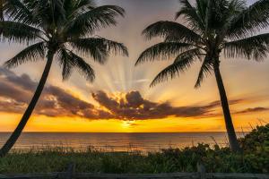 MARTINIQUE AT ABACOA 1 - Residential Lease