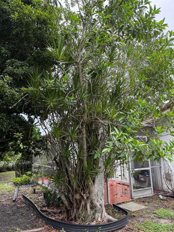 THE DELLS - Residential