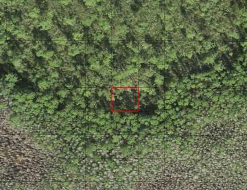 0 HOLOPAW GROVES RD St Cloud FL 34772