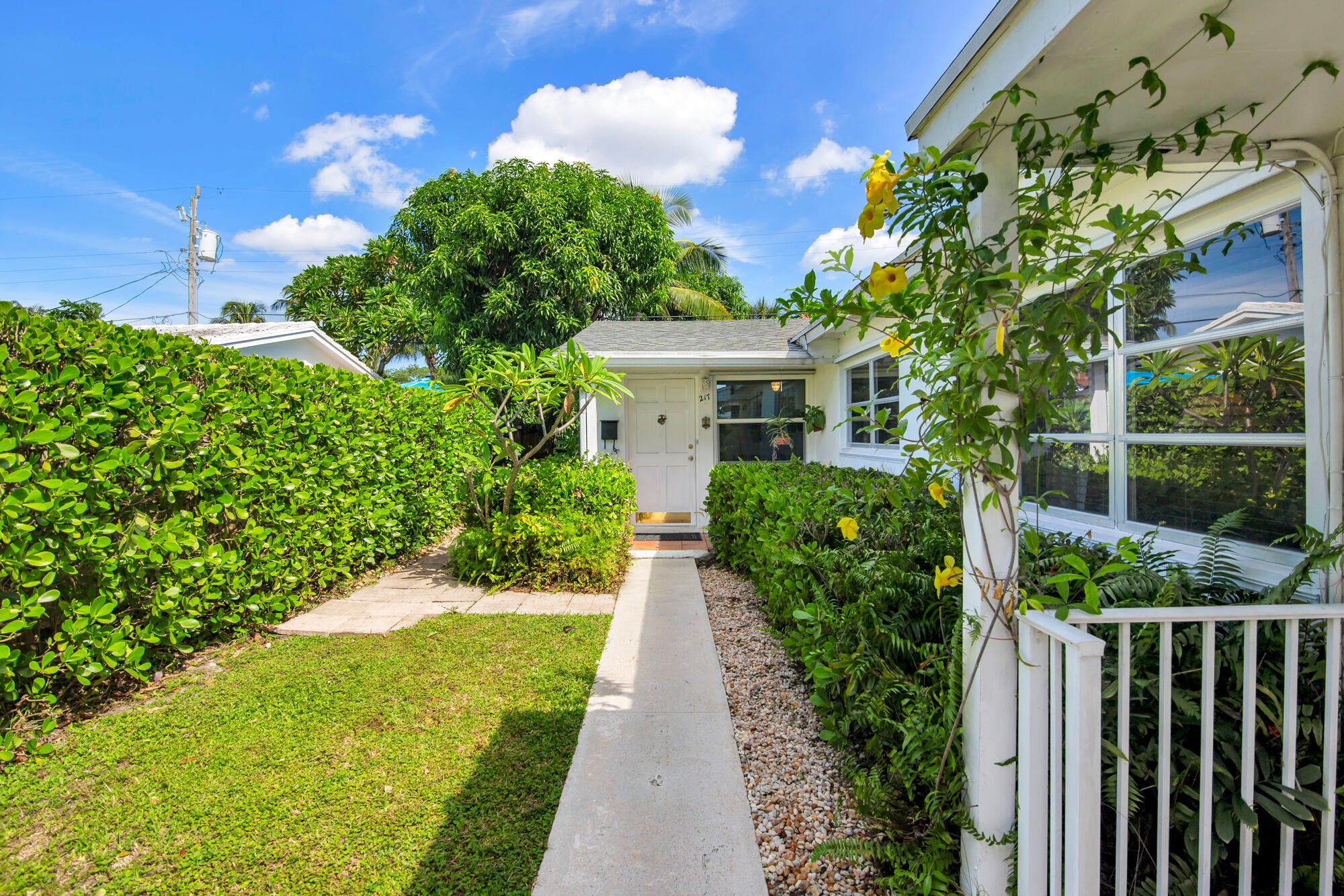 217 Pine Terrace