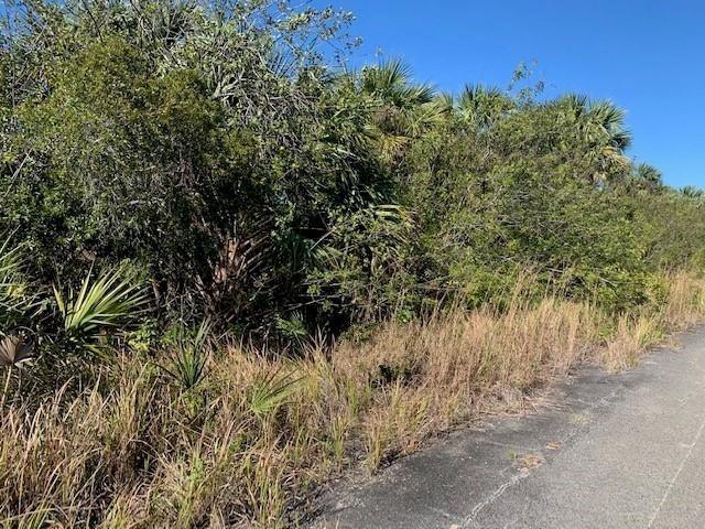 Very unique oversized lot in Palm Bay, FL. Build a compound or build a self sustainable homestead. With over 6 acres you’ll have plenty of room for everything, and everyone, while still enjoying proximity to 95 and the coast. Make an appointment to visit this property.
Owner Financing with only $15k down