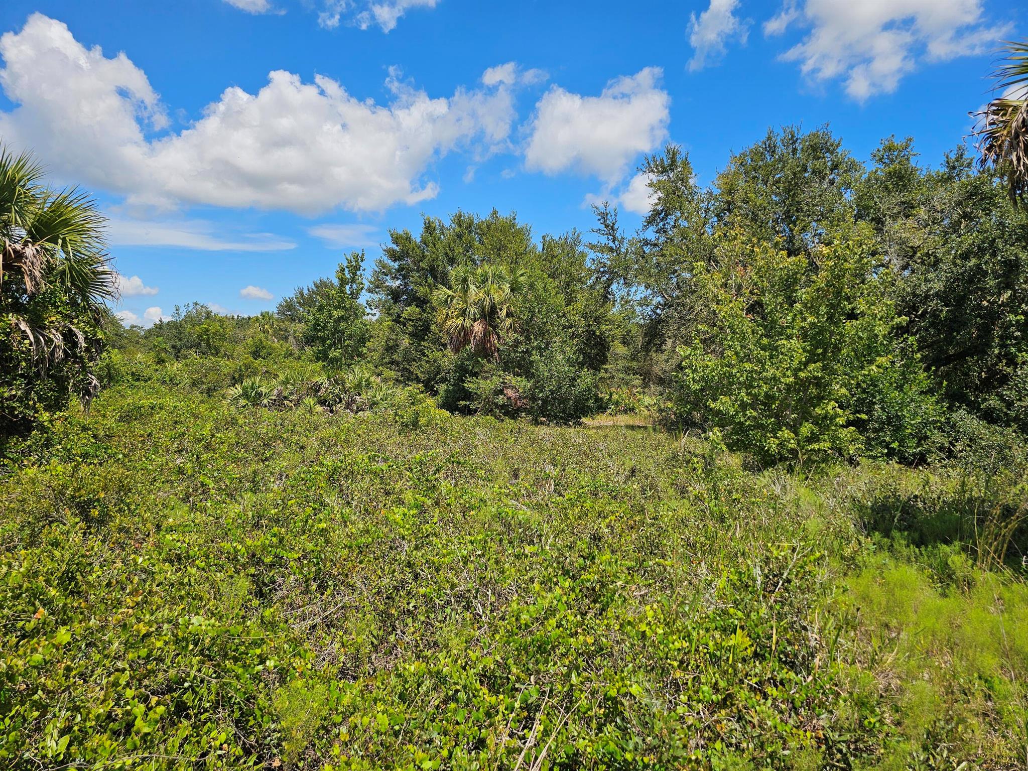 Southern Colonization - Residential