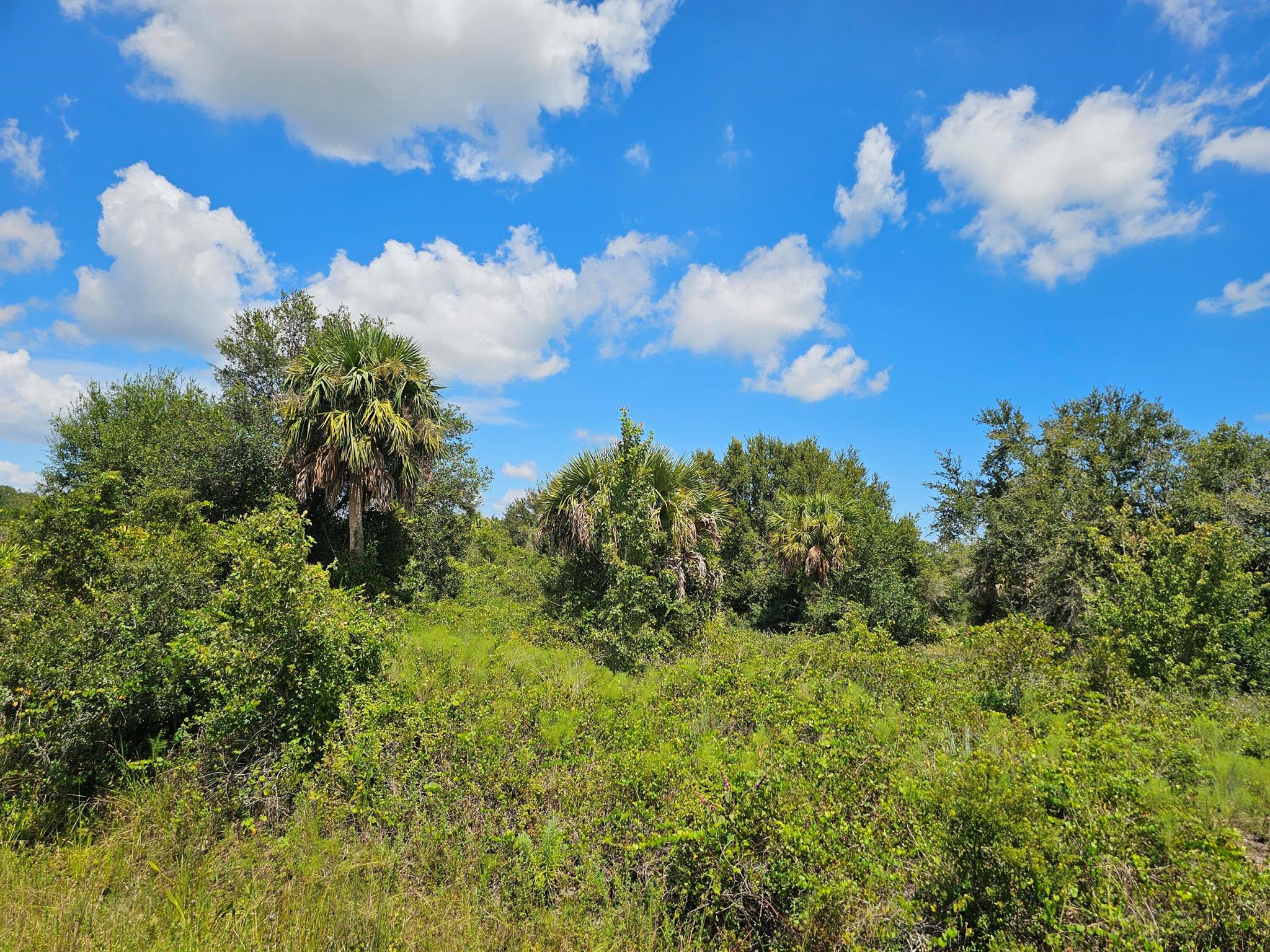 Southern Colonization - Residential