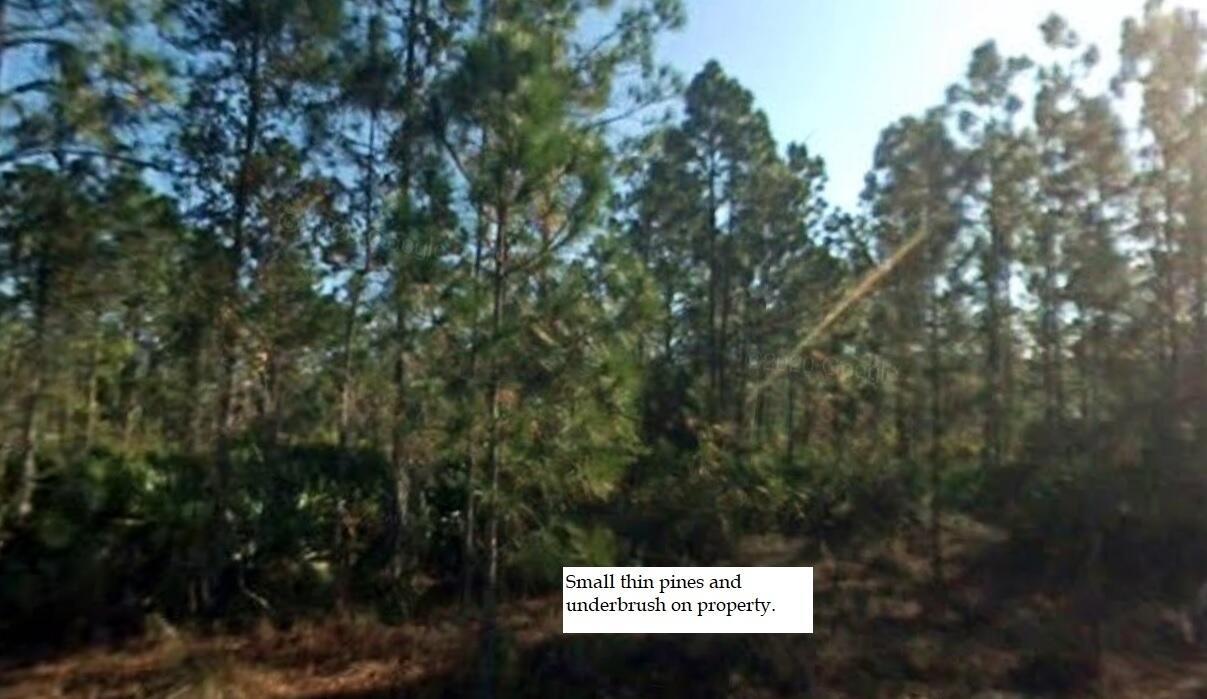 Simply a lovely area to call home. Country living with all the amenities only 6 miles away. Walmart, Publix, Winn Dixie, GNC Health food stores all call this area HOME! This lot is half an acre with homes surrounding. Electric, Cable, Phone are at street. Truman Avenue dead ends, so NO through traffic just the homeowners who live here! Lots of wild life live in this area too, birds, rabbits, fox etc. Well taken care of homes. New homes being built. Close to Lehigh acres trail head park and the Caloosahatchee regional park. Not far from Fort Myers or other larger cities. Easy access to Interstates. Great property for investment as the prices are rising!