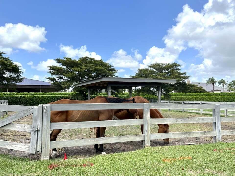 SOUTHFIELDS - Residential