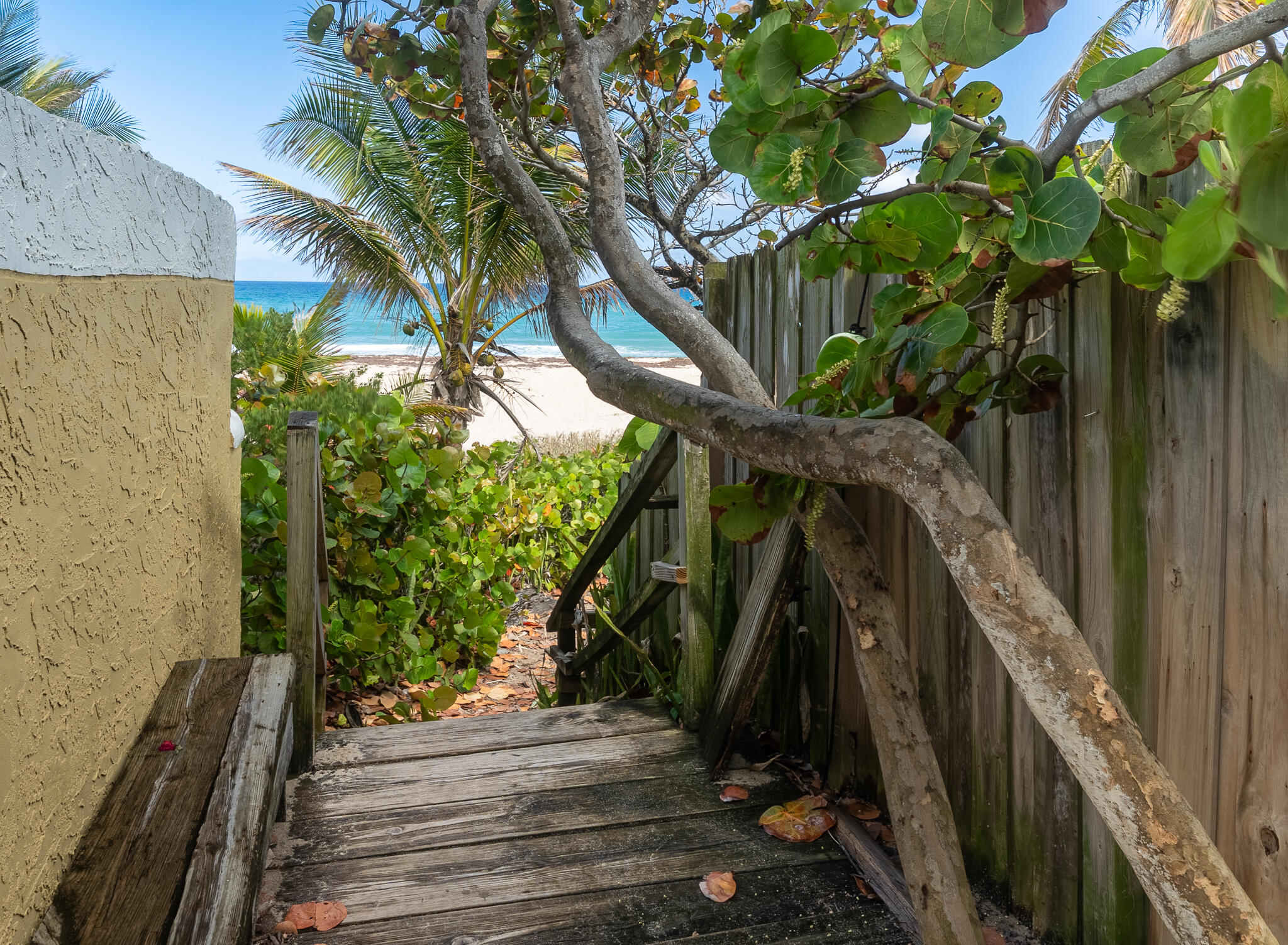 FRANTZ PELICAN BEACH ADD - Residential Lease