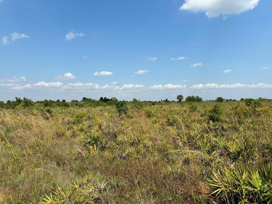 This oversized Prairie lot has open grass areas, palmettos and cabbage palms. It’s the perfect place to start your small agricultural operation. Plant fruit trees and/or start your vegetable gardens or greenhouses. Close to the Kissimmee Prairie State Park.