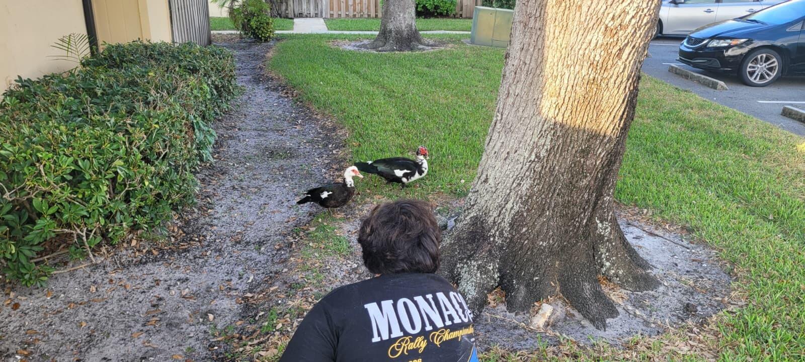 Waterside Estates - Residential