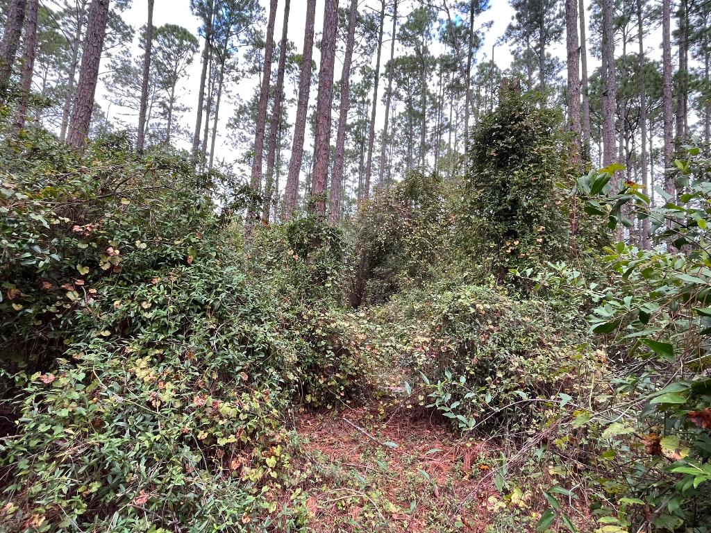 PARADISE LAKES SUB - Land