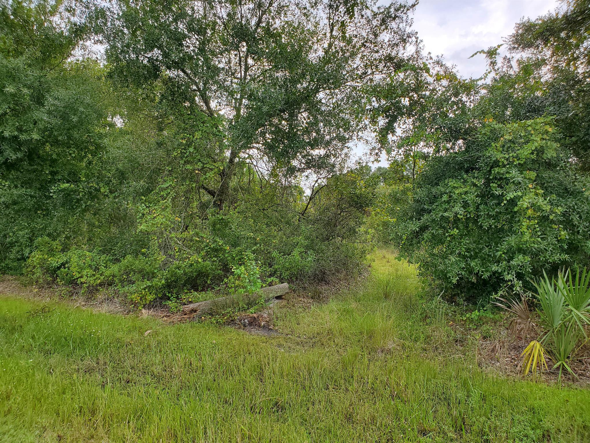 DIXIE RANCH ESTATES - Land
