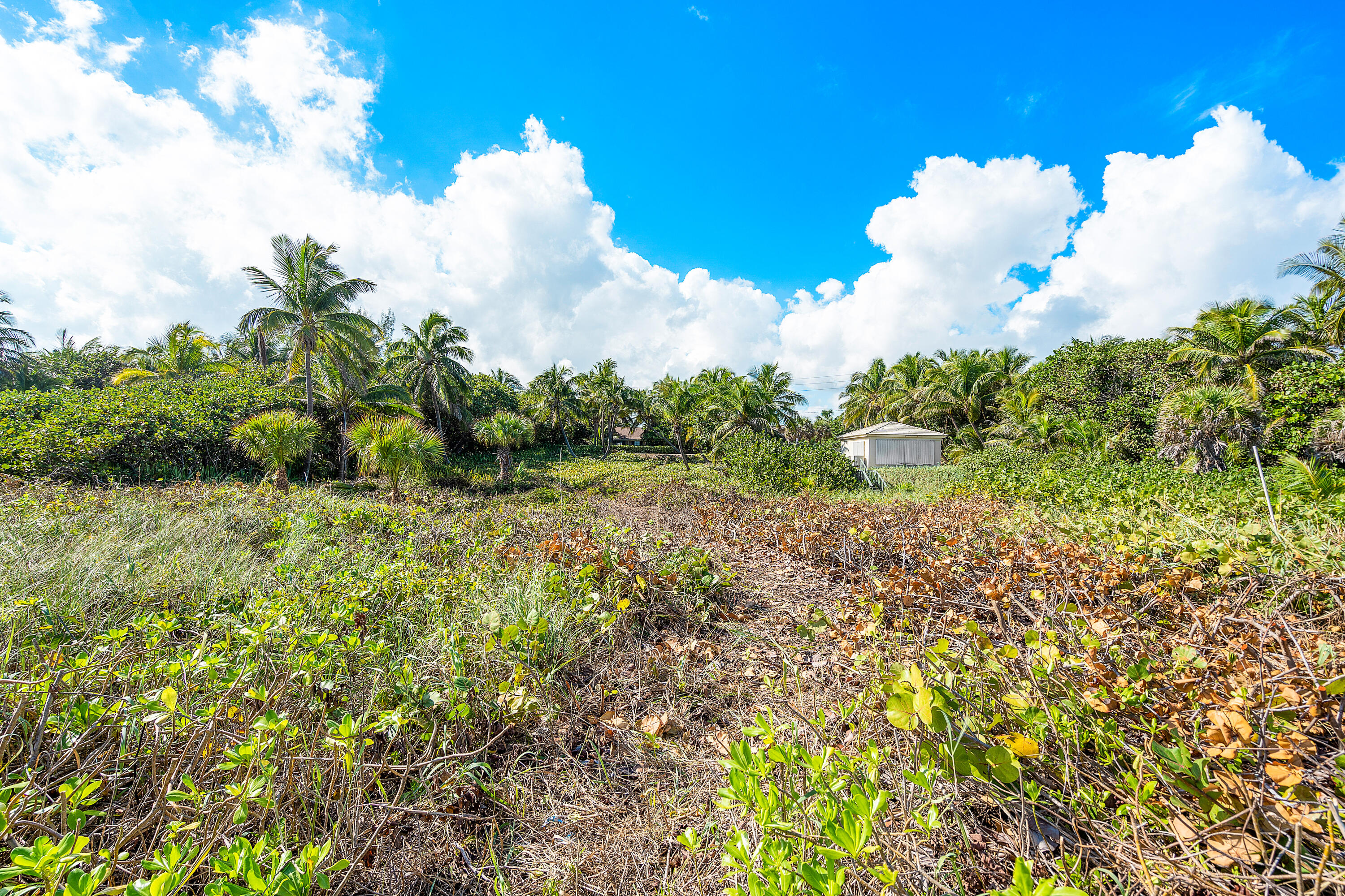 GEDNEY VS PIERSON - Residential