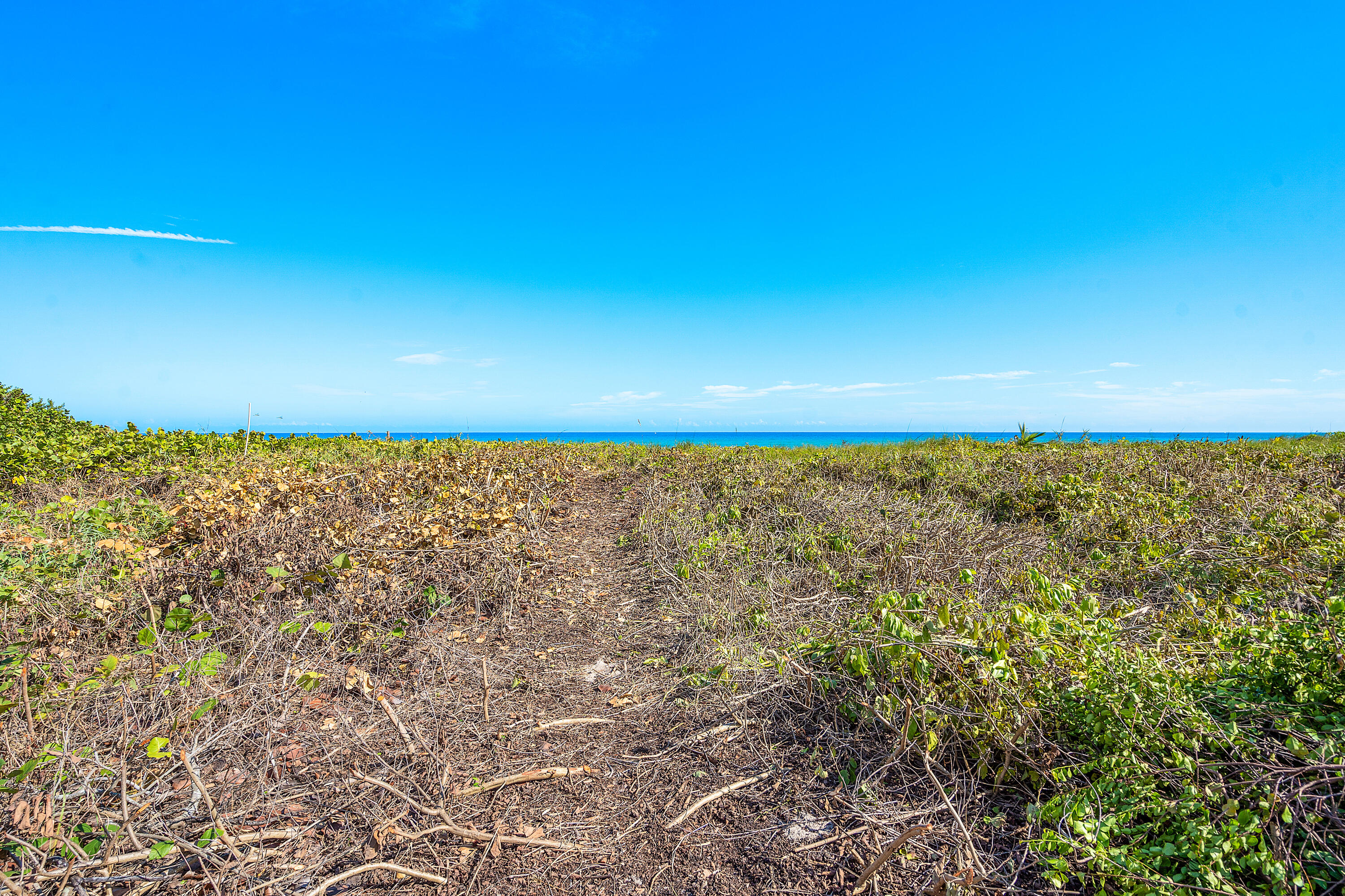 GEDNEY VS PIERSON - Residential
