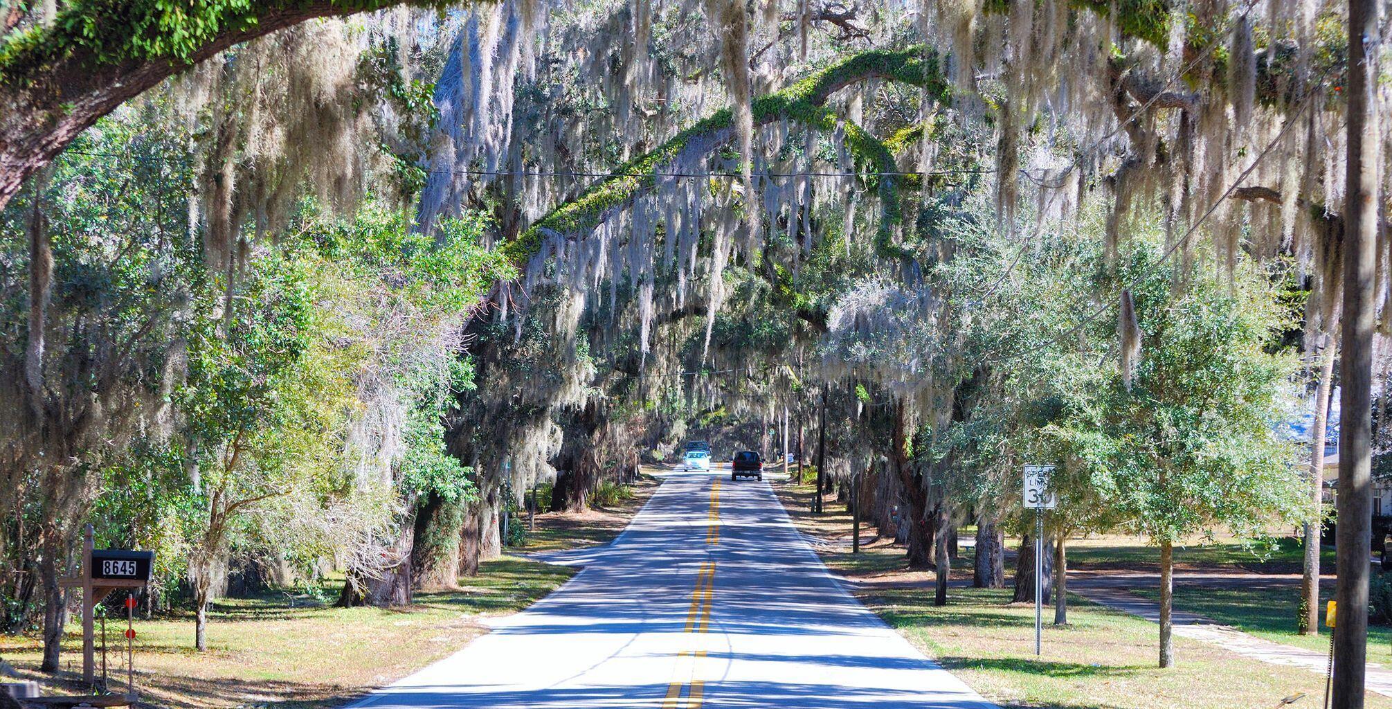 COLONY ESTATES - Land