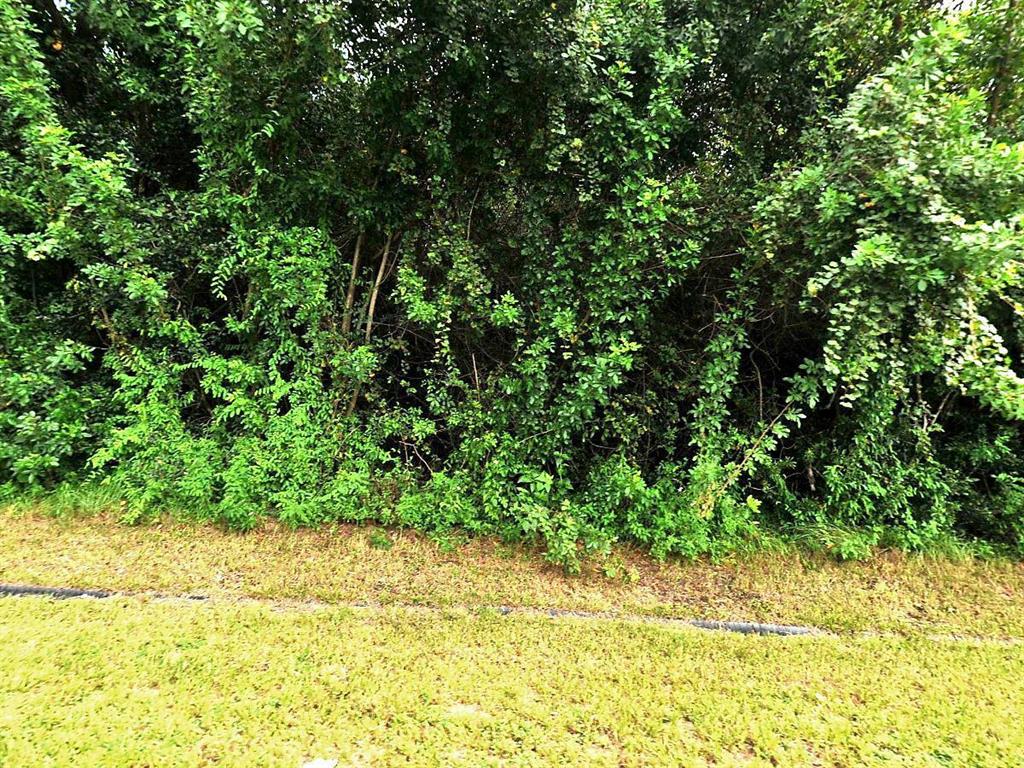 Property may be available with the one next door for a 2 lot parcel if interested since other parcel is owned by a family member. This is a licensed realtor owned property.