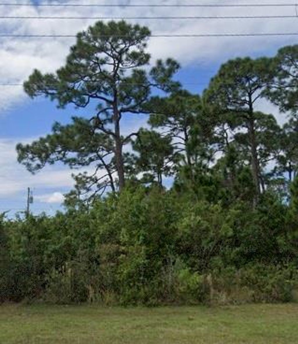 Photo of 4232 SW Savona Blvd, Port Saint Lucie, FL 34953 (MLS # F10304542)