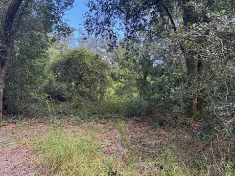 0 County RD 54 E Kathleen FL 33849