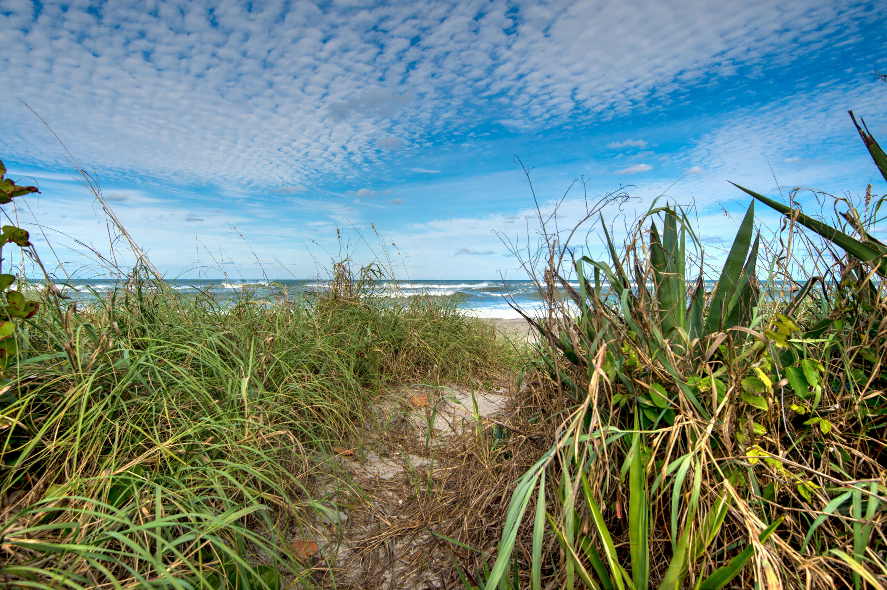 JUPITER INLET BEACH COLON - Residential