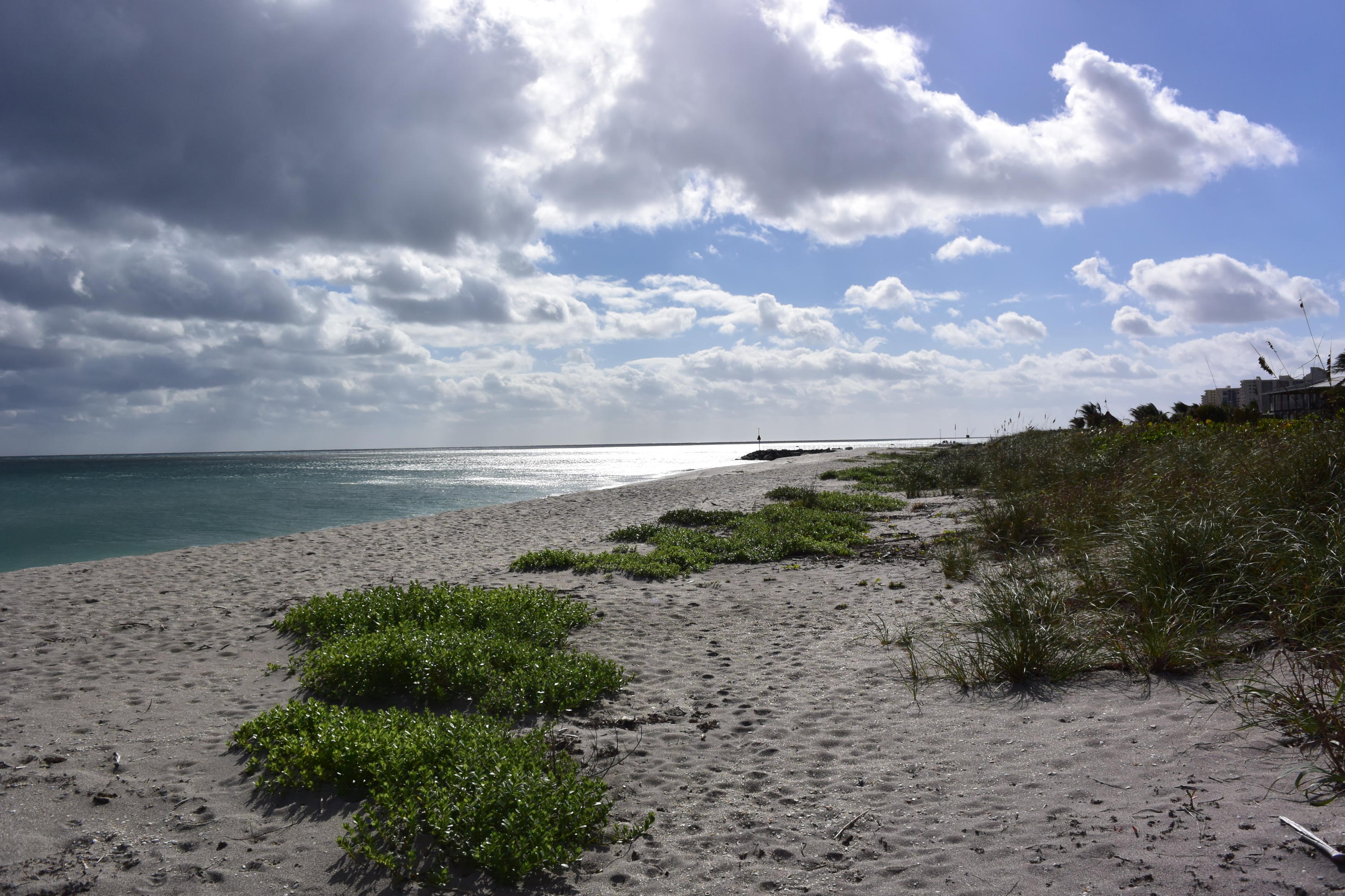 JUPITER INLET BEACH COLON - Residential