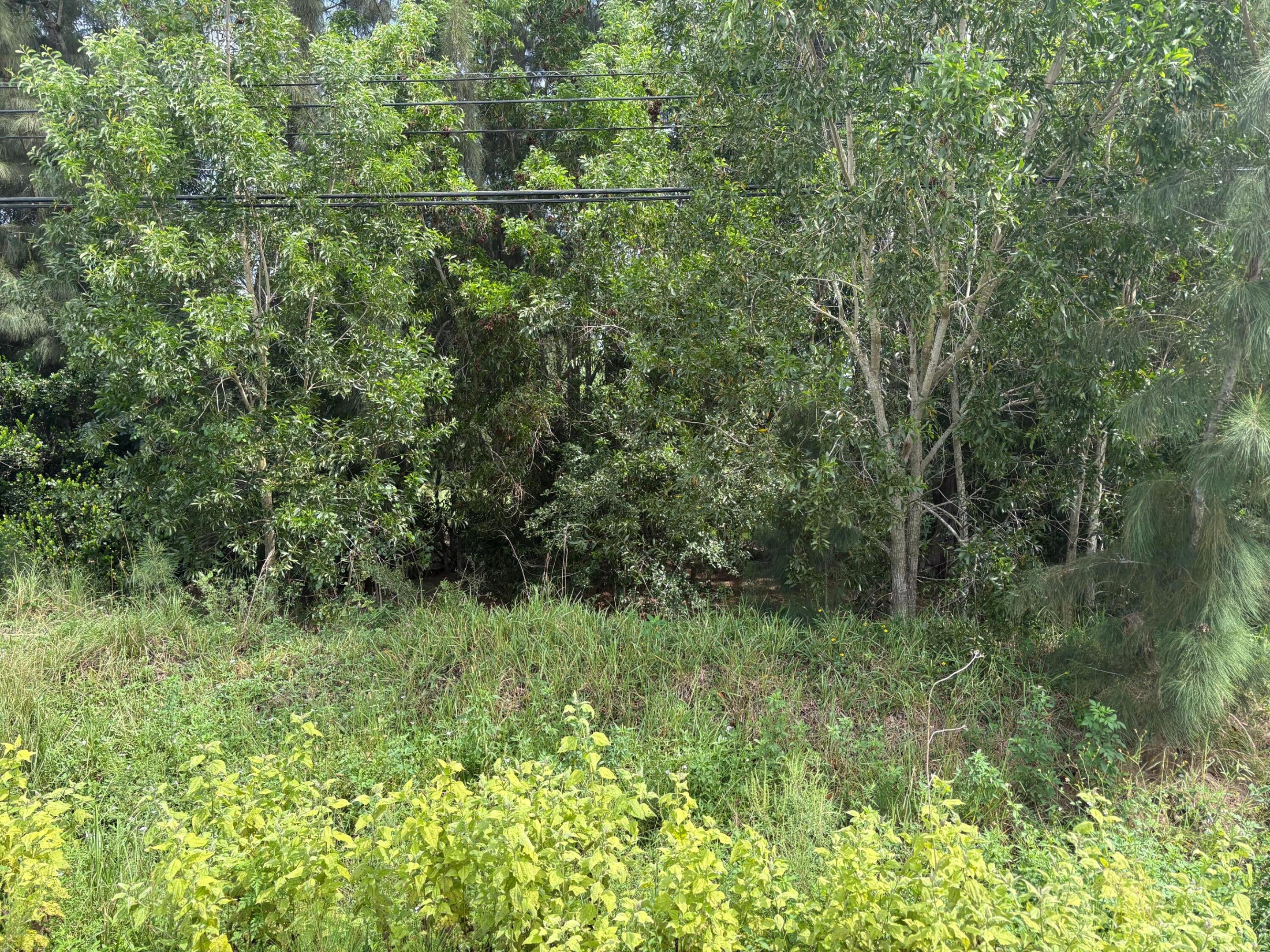 001226 W Indiantown Road W