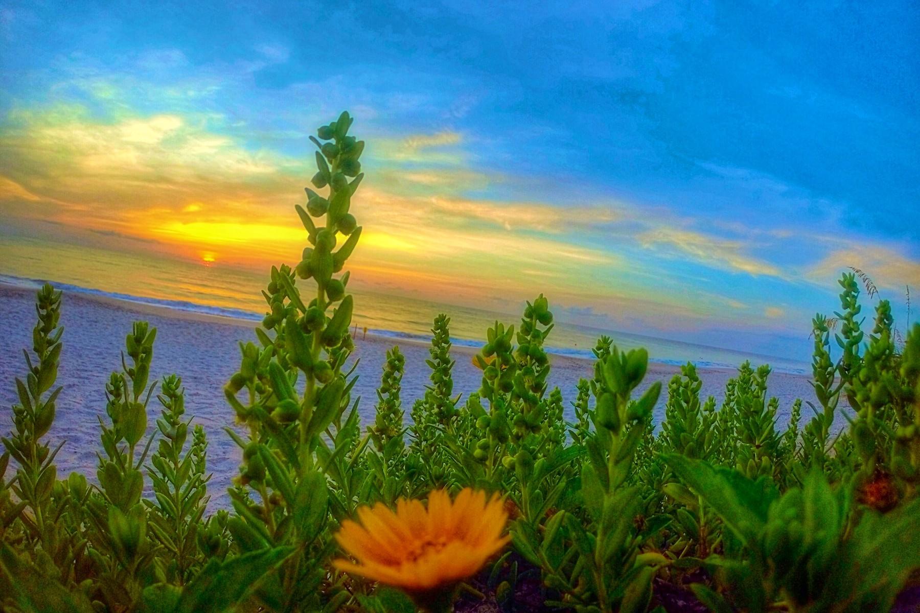 VERO BEACH SUB REPLAT LOTS 20 & Z BLK 4 - Residential