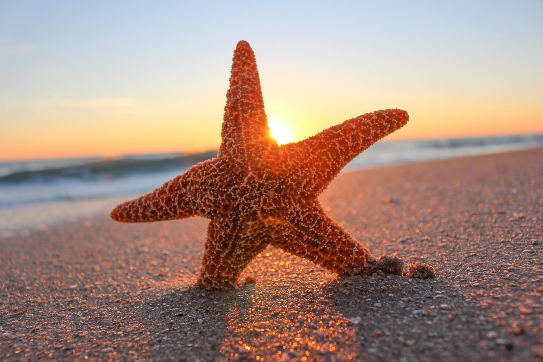 VERO BEACH SUB REPLAT LOTS 20 & Z BLK 4 - Residential