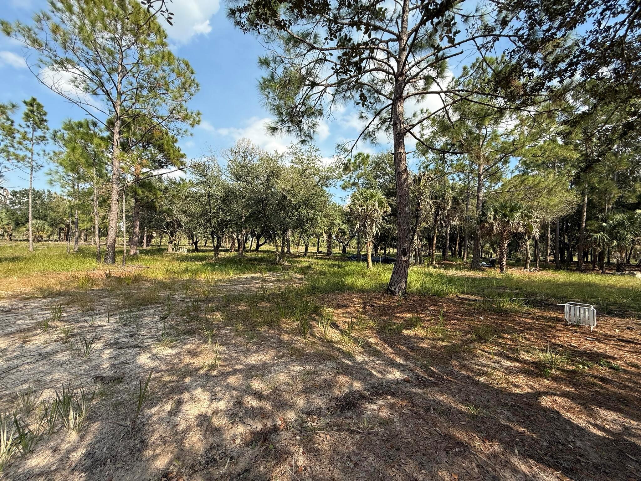 SOUTHERN COLONIZATION COM - Land