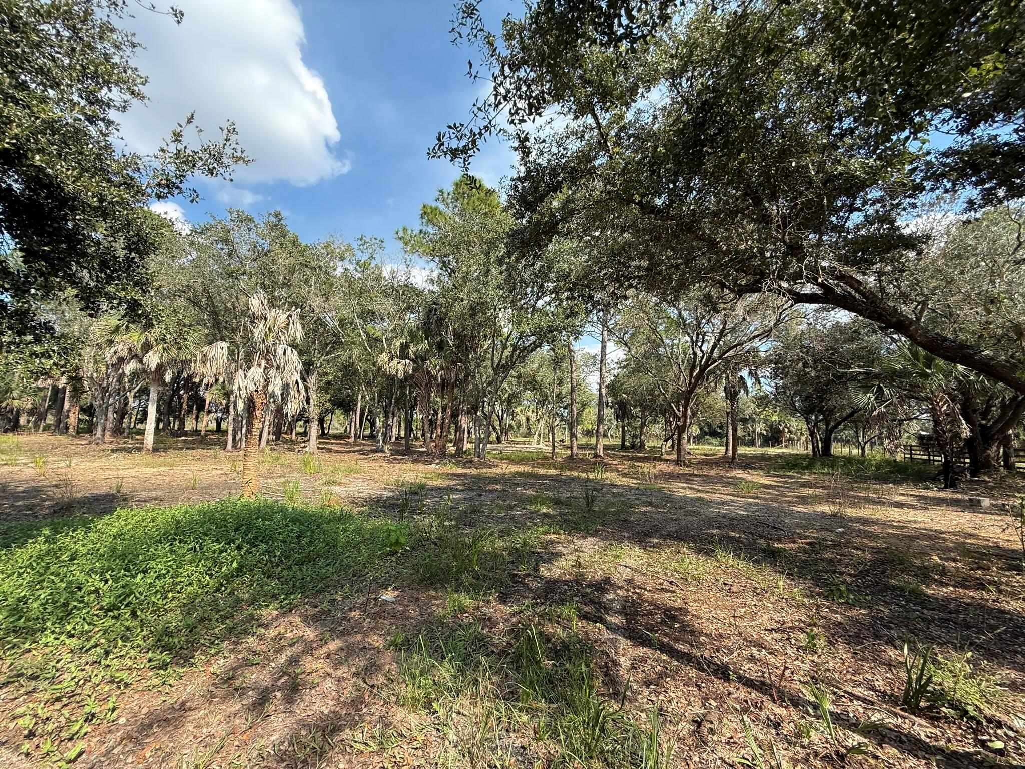 SOUTHERN COLONIZATION COM - Land